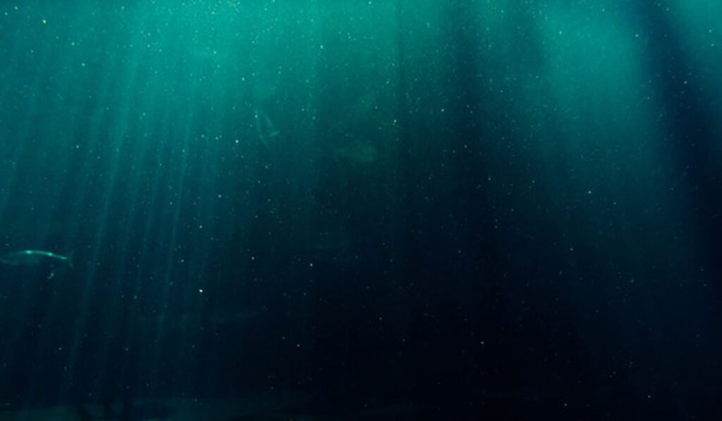 Salmon Fish Farms with Floating Cages salmon fish